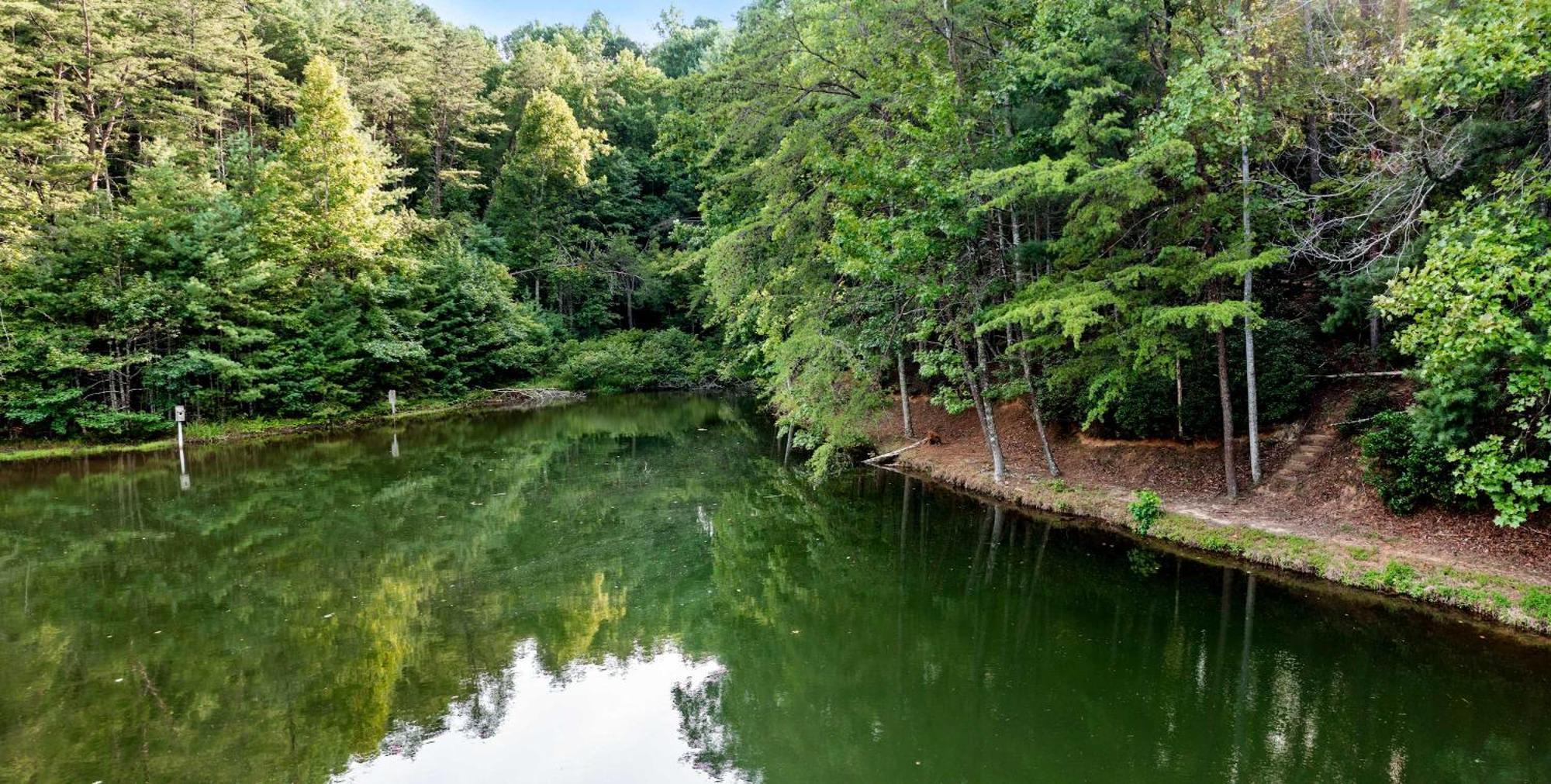 Lakeside Retreat Hot Tub Fishing Hiking Ellijay Eksteriør bilde